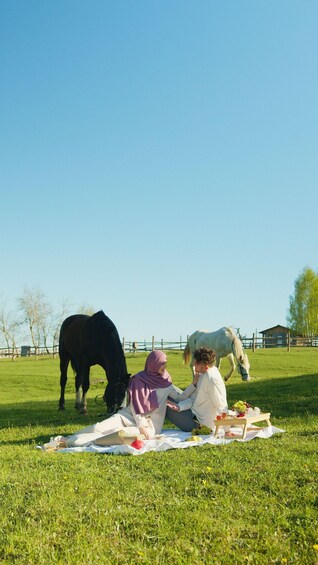 Edderton: Horseback Trail Ride with Countryside Picnic 1