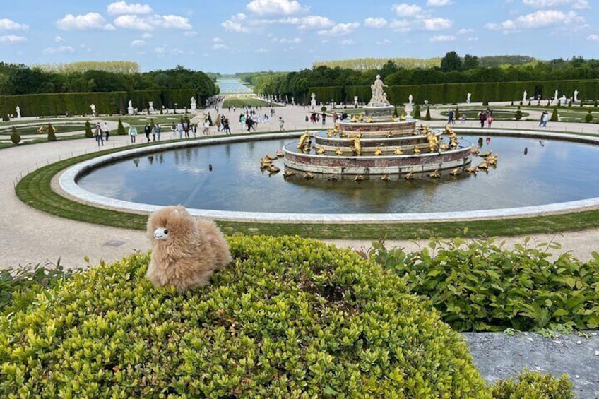 A large, ornate fountain surrounded by a manicured garden with a fluffy dog in the foreground. 5