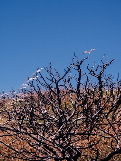 Picture 22 for Activity From Lagos: Seven Hanging Valleys Trail Sunset Hike & Dinner 2