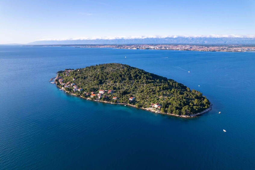 Picture 5 for Activity Bibinje: Private Boat Trip with Snorkeling and Skipper 4