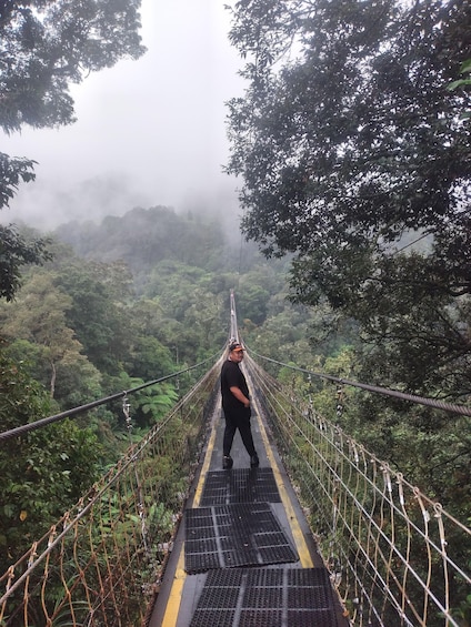 A person standing on a suspended bridge with a forested landscape in the background. 5