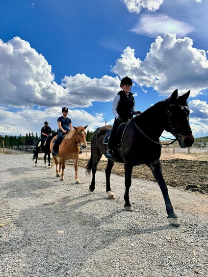 Picture 8 for Activity Äkäslompolo: Horseback Ride To Wilderness Hut 3