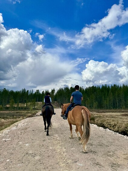Picture 6 for Activity Äkäslompolo: Horseback Ride To Wilderness Hut 5