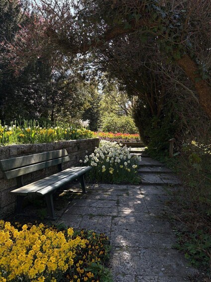 A stone pathway with benches, surrounded by a variety of flowers and dense shrubbery. 5