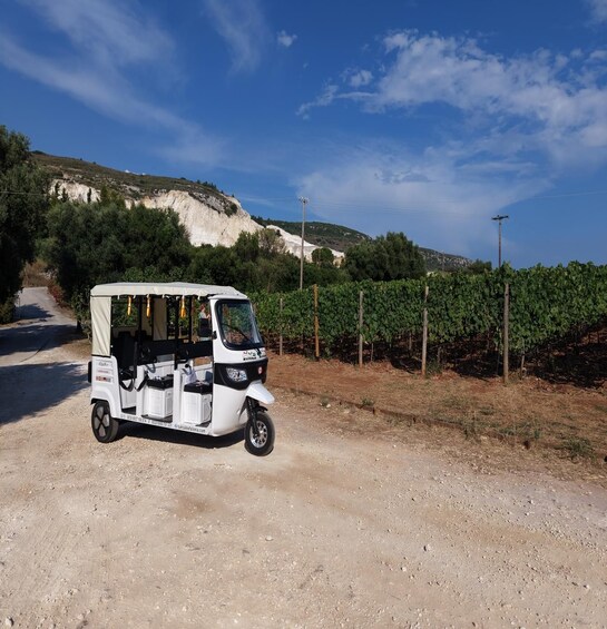 Picture 4 for Activity Kefalonia: Argostoli Tour with Wine Tasting experience 3