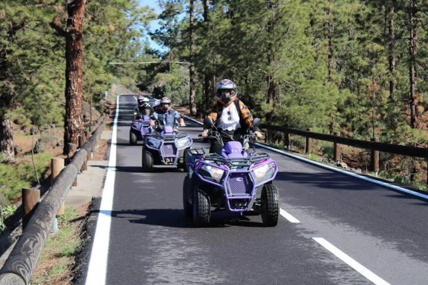 Teide National Park Quad Bike Tour 1