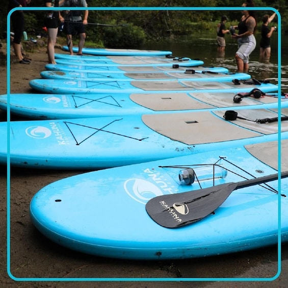 Picture 2 for Activity Lac Leamy Kayak or Paddleboard Rental 2