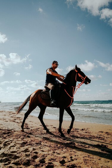 Picture 2 for Activity Kardamaina: Sunrise Beach Horseback Ride 5