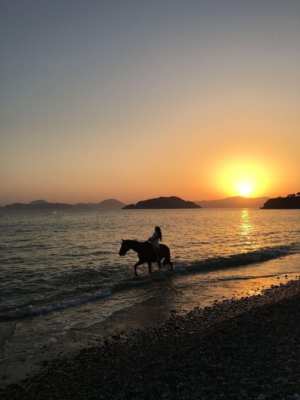 Kardamaina: Sunrise Beach Horseback Ride 1