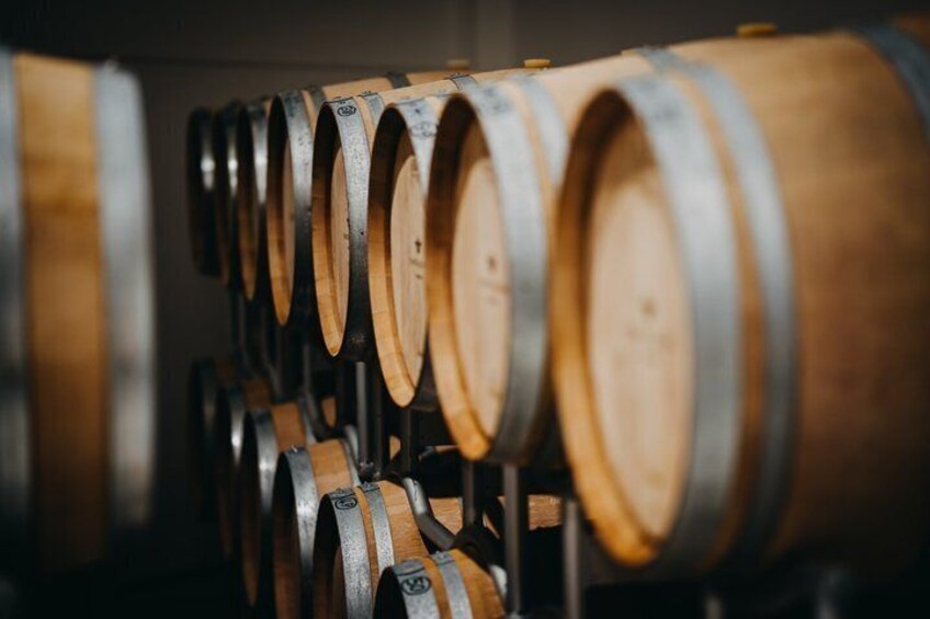Wine tour with wine tasting in Salento 5