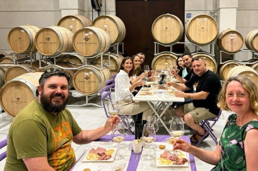 Wine tour with wine tasting in Salento 4