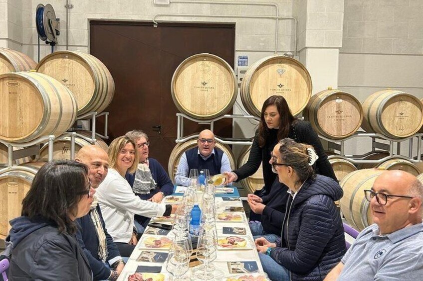 Wine tour with wine tasting in Salento 2