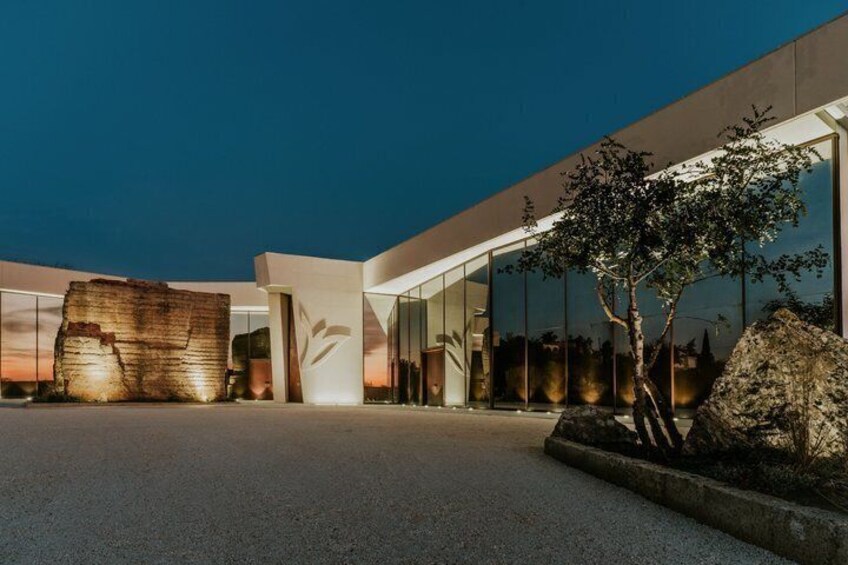 Wine tour with wine tasting in Salento 1