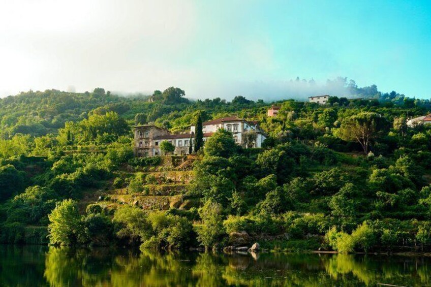 3H Pinhão to Régua Douro Cruise with Lock Wine and Tapas 5