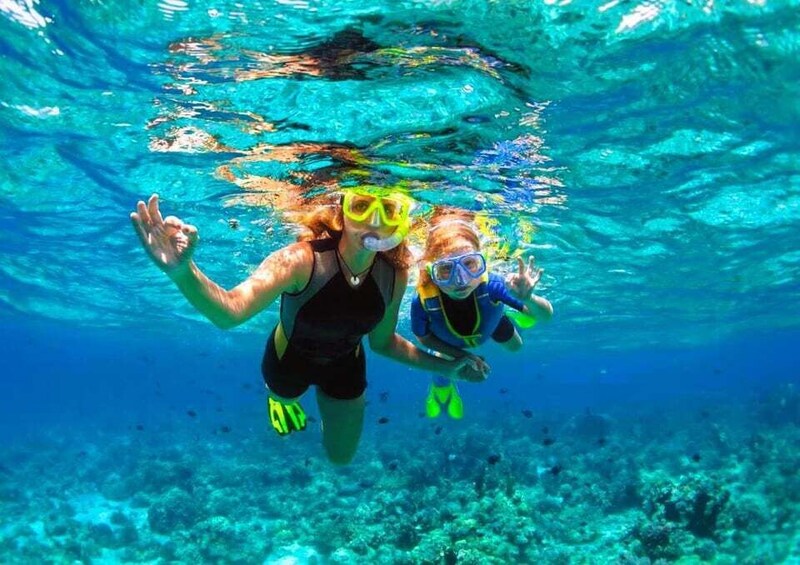 Two people snorkeling underwater with clear blue water and visible marine life. 1