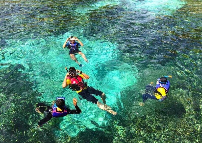 Four people snorkeling in clear blue water. 3