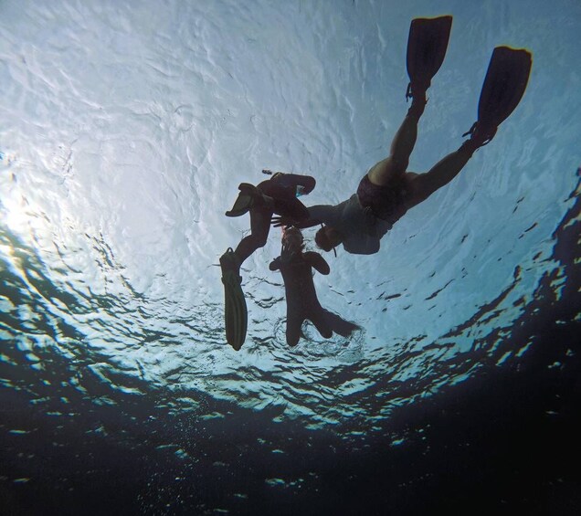 A diver with fins swimming underwater. 5