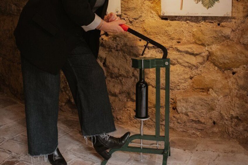 White Wine Creation Workshop and Wine Museum Tour 3