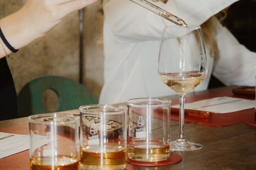 White Wine Creation Workshop and Wine Museum Tour 1
