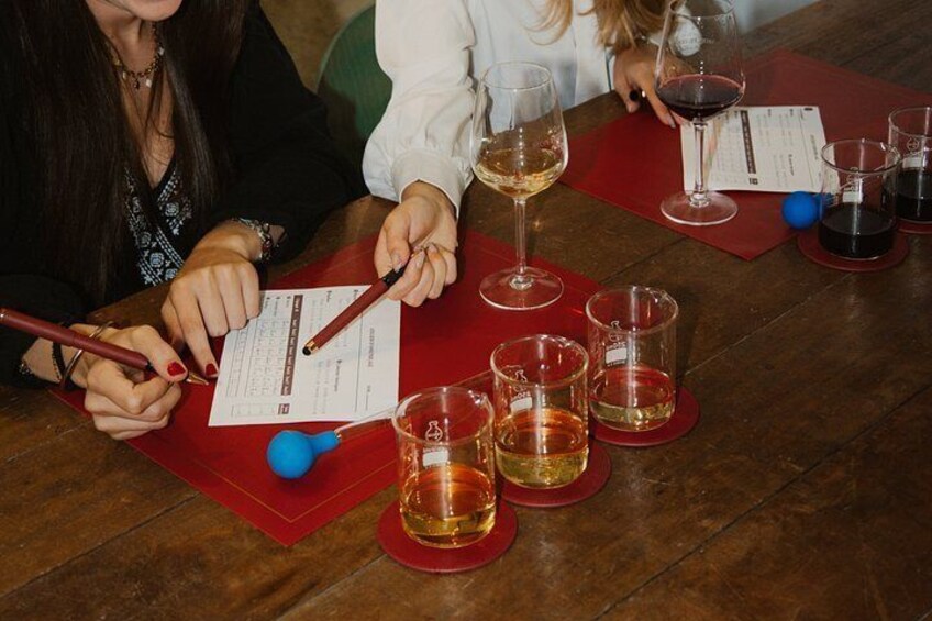 White Wine Creation Workshop and Wine Museum Tour 2