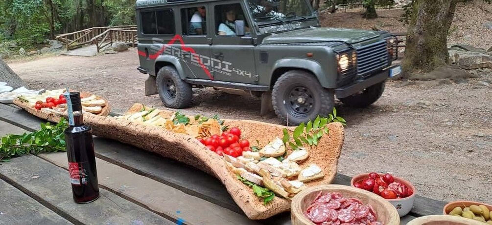 A picnic setup with a loaf of bread, tomatoes, cheese, and a bottle of Coca-Cola on a wooden table. 2