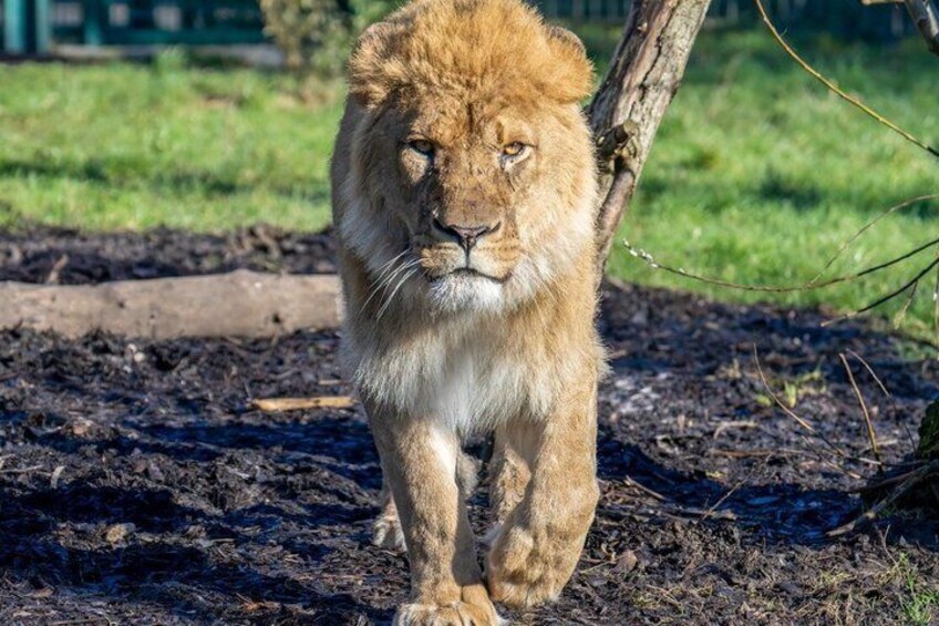 Day Ticket Blackpool ZOO 3