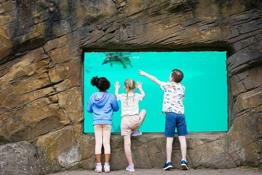 Drei Kinder stehen vor einem grünen Bildschirm. 2