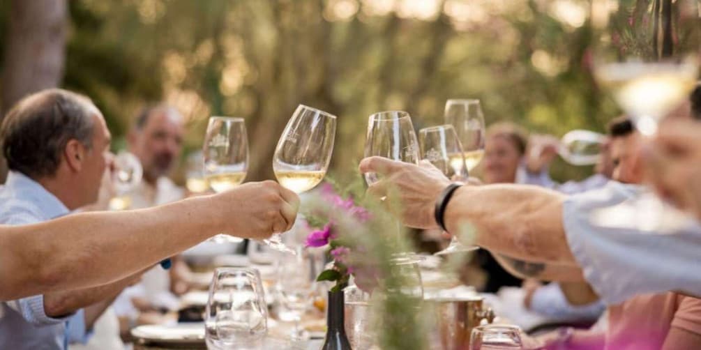 Picture 1 for Activity Mallorca: 100% Organic Viticulture – Top Wines from Michelin-Star Restaurants 1