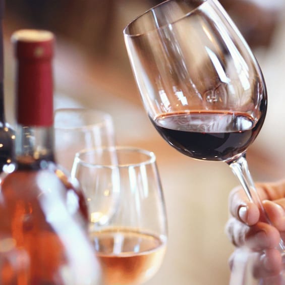 Picture 4 for Activity Mallorca: 100% Organic Viticulture – Top Wines from Michelin-Star Restaurants 3