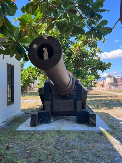 Picture 6 for Activity From Kingston: Port Royal Private Half-Day Tour 3