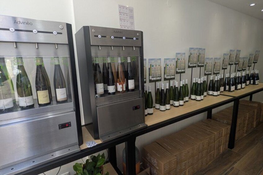 Two wine refrigerators with bottles and informational cards. 1