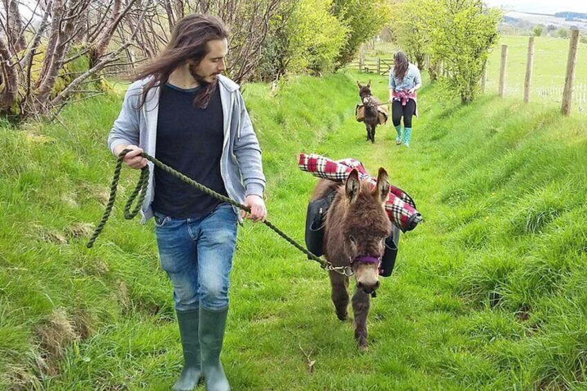 Scenic walks with mini donkeys, picnicking in the beautiful Brecon Beacons 3