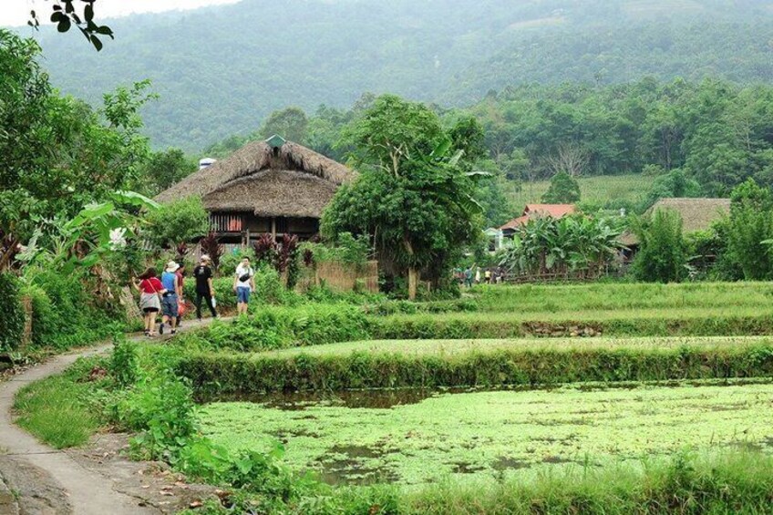 12 Day Mysteries of Northeast Vietnam Private Tour 1