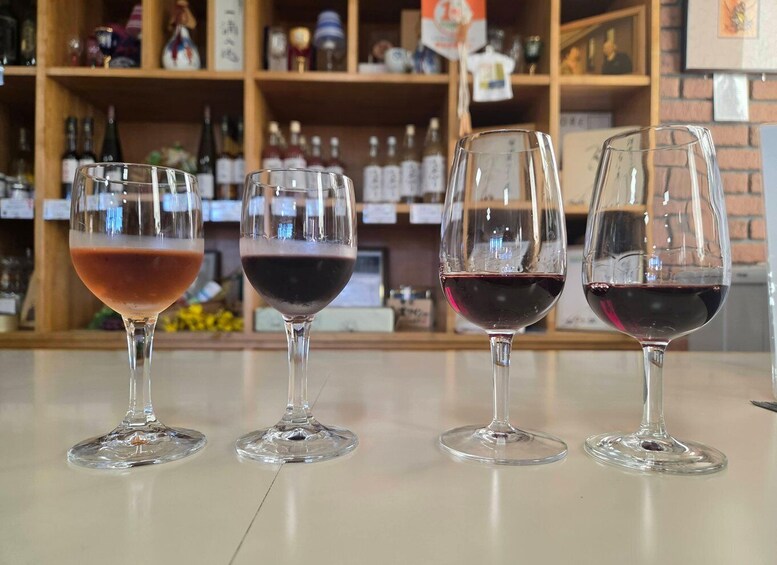 Nagano: Shiojiri Winery Walk with Tastings in Kikyogahara 1