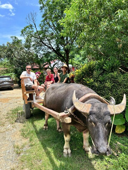 A group of people on a cart pulled by a buffalo in a grassy area with trees. 1