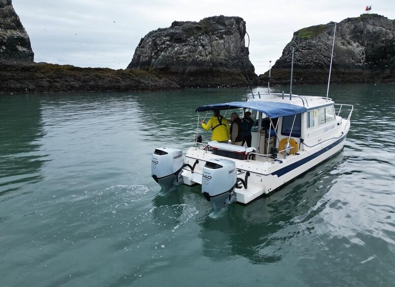 Homer: Touring Kachemak Bay Wildlife Cruise 1