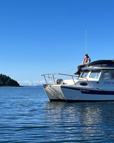 Picture 2 for Activity Homer: Touring Kachemak Bay Wildlife Cruise 3