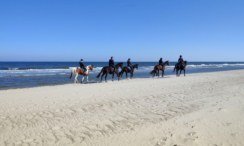 Picture 1 for Activity Fort Bragg: Coastal Horseback Ride on Ten Mile Beach 2