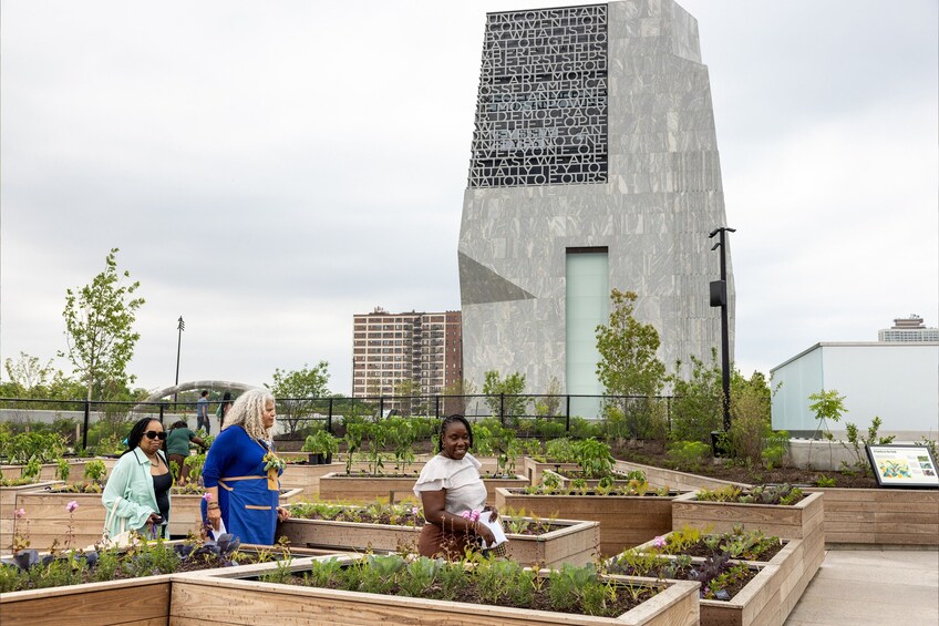 Un jardín en la azotea con camas elevadas, un edificio moderno con fachada de vidrio y un cielo despejado. 2