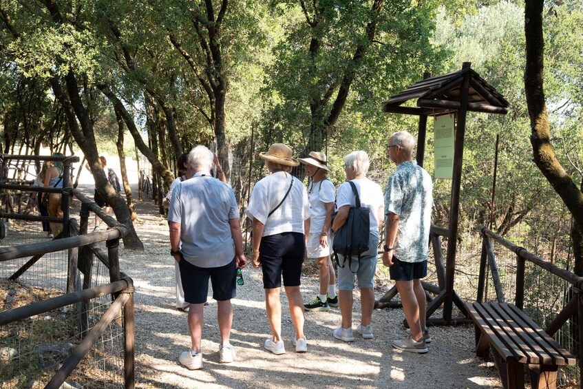 Odysseus Theme Park: Private Guided Odyssey Experience 1