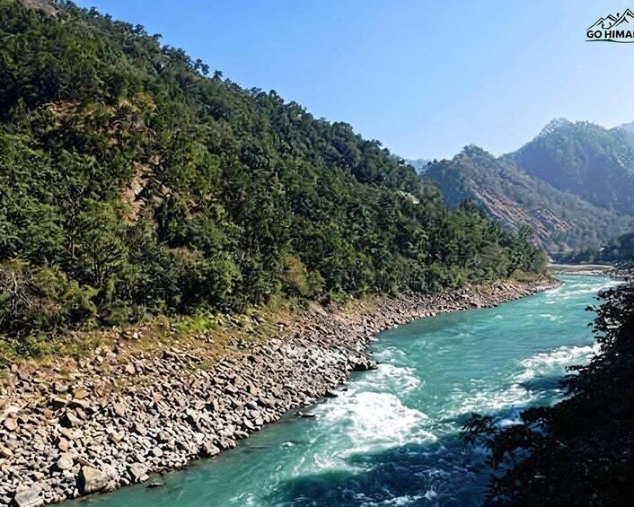 Picture 8 for Activity From Delhi: Private Haridwar & Rishikesh Tour By Car & Guide 4