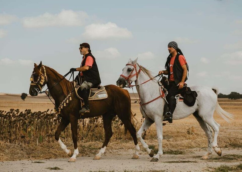 Alentejo: Countryside Horse Riding Through Vineyards 1