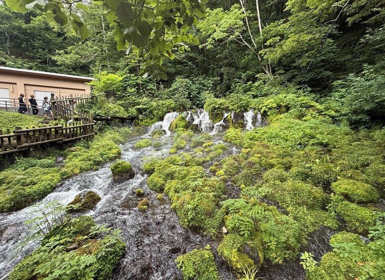 Picture 1 for Activity Sapporo: 2-Day Hakodate & Southern Hokkaido Trip with Hotel 3