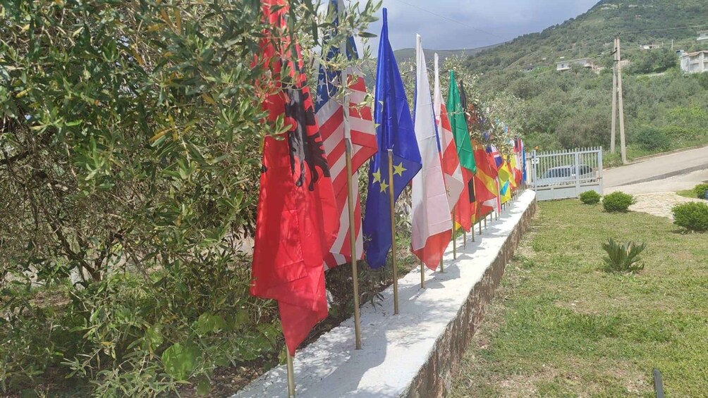 Tour to the "Dea" Winery in Delvina and tasting 1