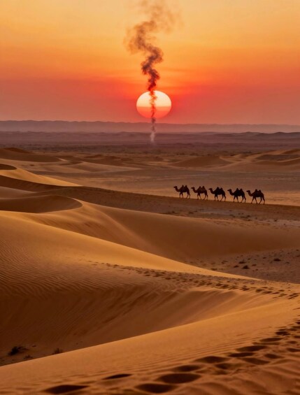 Yinchuan/Zhongwei: Tengger Desert & Shapotou Day Trip 1