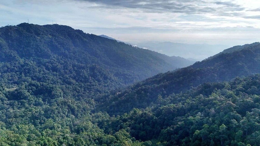 Picture 8 for Activity From Kuala Kubu Bahru: Mount Gap and Gus Guided Hike 3