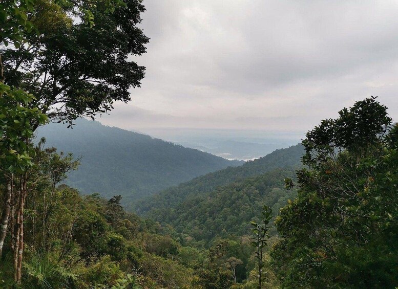 From Kuala Kubu Bahru: Mount Gap and Gus Guided Hike 1