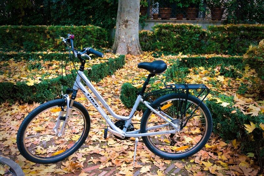 En stillastående elcykel med svart sadel och pakethållare baktill, parkerad på en stig täckt av löv i en park. 2