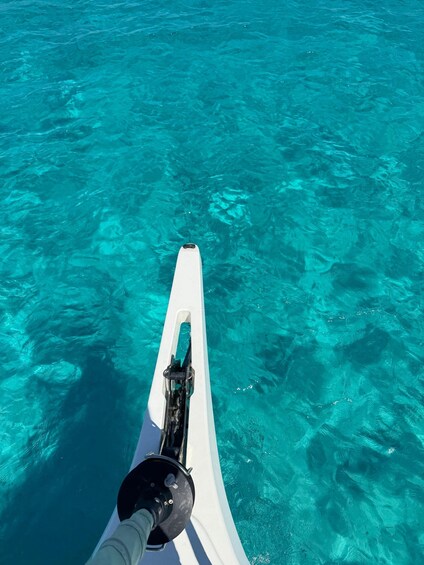 Picture 1 for Activity Sailing and snorkeling in Costa Smeralda and the Maddalena Archipelago, with lunch 3