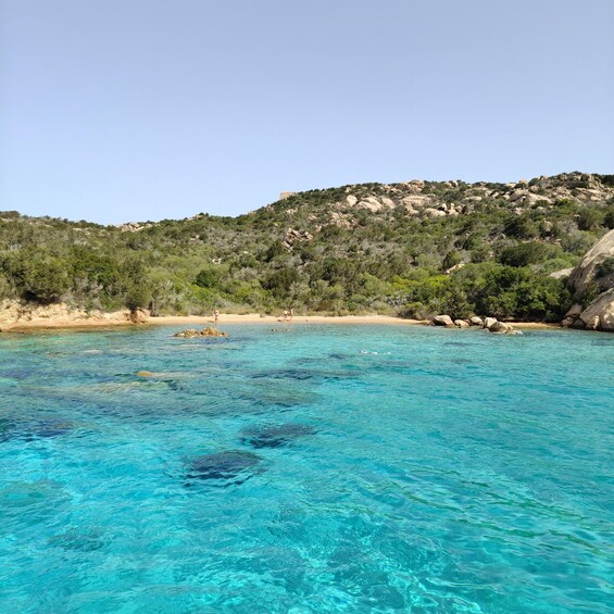 Picture 12 for Activity Sailing and snorkeling in Costa Smeralda and the Maddalena Archipelago, with lunch 3